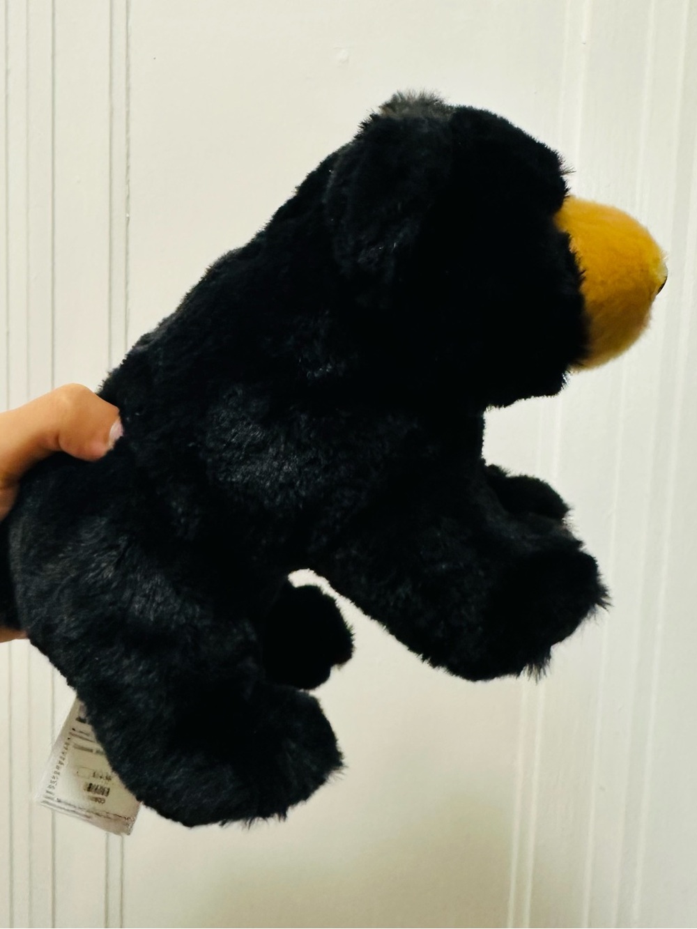 Douglas Black Bear Kids Mini Cubbie Plushie - Picture 2 of 6